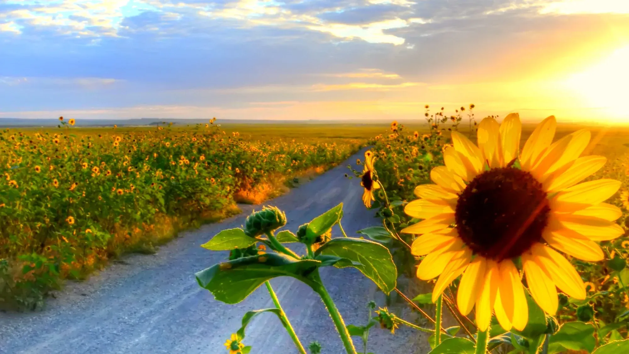 Landscapes photography story